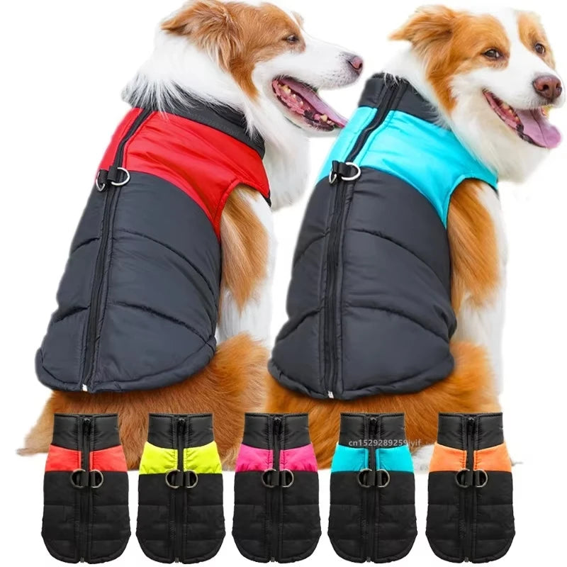 Waterproof Winter Dog Jacket – Warm Padded Coat with Zipper | Comfortable Vest for Small, Medium & Large Dogs