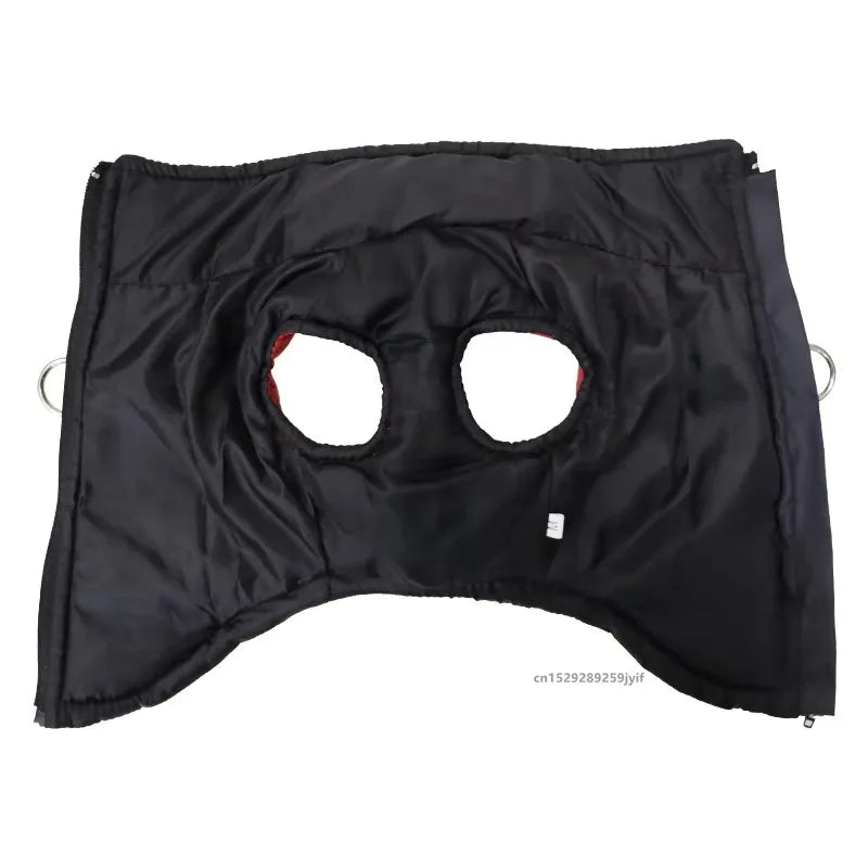 Waterproof Winter Dog Jacket – Warm Padded Coat with Zipper | Comfortable Vest for Small, Medium & Large Dogs